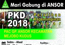 PKD PAC. GP. Ansor Mejobo