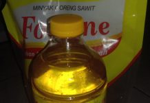 Pemikiran – pemikiran Alternatif