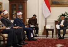 Wapres KH Ma’ruf Amin Terima Kunjungan Wakil Grand Syekh Al-Azhar, Kairo
