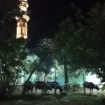 Hewan Kurban di Momentum Iduladha