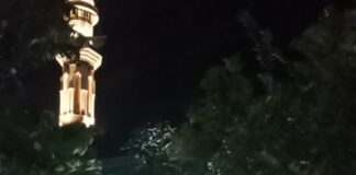 Hewan Kurban di Momentum Iduladha